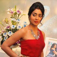 Shriya Saran at Wings of Fantasy Launch - Pictures | Picture 109844